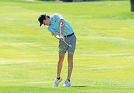 Lead photo