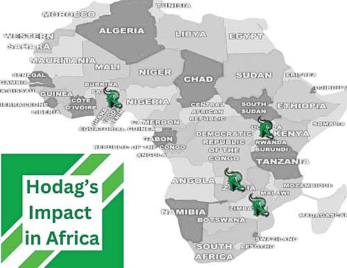 A map of wells that this program has established in Africa. (Contributed image)