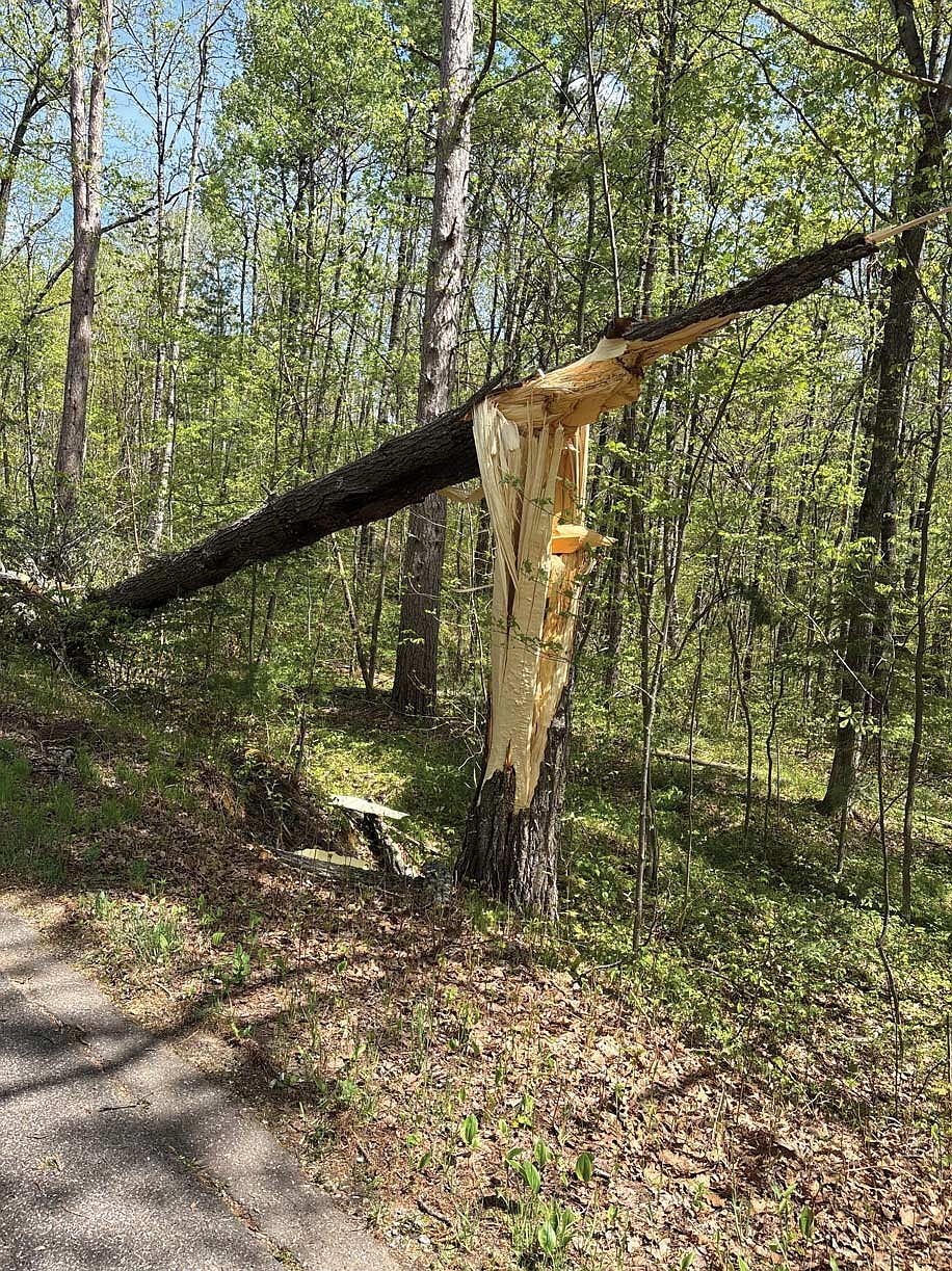 A downed tree along Bo Di Lac Road on Minocqua’s west side on Friday, May 16. (Contributed photograph)