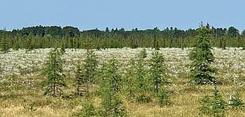 Photo detail