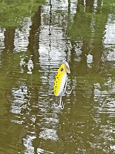 Jitterbugs have fallen out of favor in the mainstream, but savvy anglers know these baits are “lights out” for both bass and pike alike. (Photo by Beckie Gaskill/Lakeland Times)