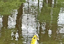 Lead photo