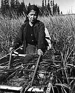 “Manoomin’s (wild rice) Legacy” with Jim Bokern from the Manitowish Waters Historical Society on Thursday, July 24 at 7pm at the Boulder Junction Community Center. (Contributed photograph)