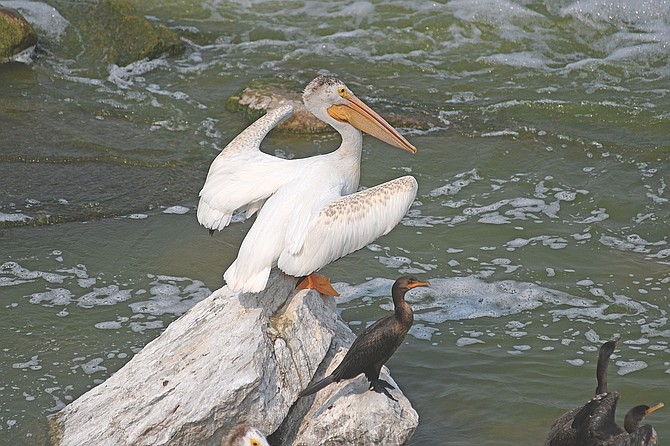 Photo detail