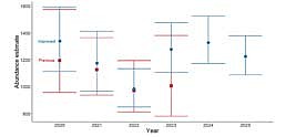 Comparison of updated abundance estimates utilizing modernized home range analysis to the previously reported over-winter wolf range-wide abundance estimates, 2020-2025. Previous estimates include areas of the state with historical observations of wolves under the 2012 wolf harvest zones. Updated estimates are standardized across years for the 2023 wolf management zones 1-5. Point estimates are posterior modes (the most likely value), and error bars represent 95 percent credible limits. Source: DNR (Contributed image)