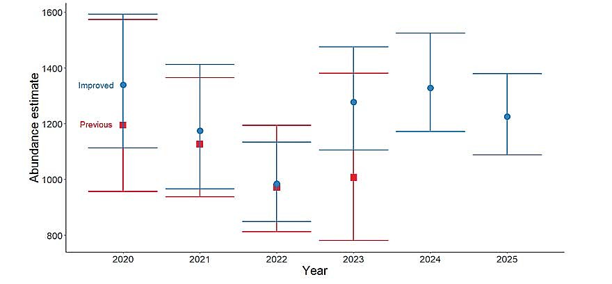 Comparison of updated abundance estimates utilizing modernized home range analysis to the previously reported over-winter wolf range-wide abundance estimates, 2020-2025. Previous estimates include areas of the state with historical observations of wolves under the 2012 wolf harvest zones. Updated estimates are standardized across years for the 2023 wolf management zones 1-5. Point estimates are posterior modes (the most likely value), and error bars represent 95 percent credible limits. Source: DNR (Contributed image)