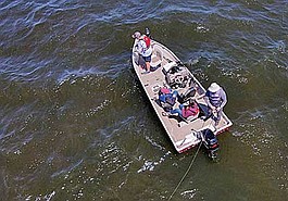 Lead photo