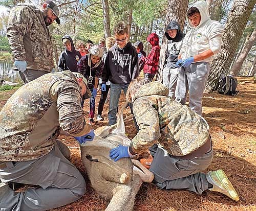 Seventh grade students in teacher Jeff Kinnally’s class Northwoods Way of Life watch and assist with cleaning a harvested deer at Forest of Antlers on Thursday, Oct. 23, in Harshaw. Those pictured, from left, are Cody Ryden of Forest of Antlers (cleaning deer), teacher Jeff Kinnally, student Wesley Wehe, student Talon Hendricks, student Tyler Volinek, student Henry Hastreiter, student Talon Poupart and student Dallis Mullin (cleaning deer). (Photo by Trevor Greene/Lakeland Times)