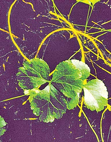 Photo detail