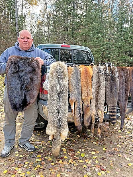 Mike Kortenhof poses for a picture with a variety of furs and traps on his truck while holding the pelt of a beaver. (Photo by Trevor Greene/Lakeland Times)
