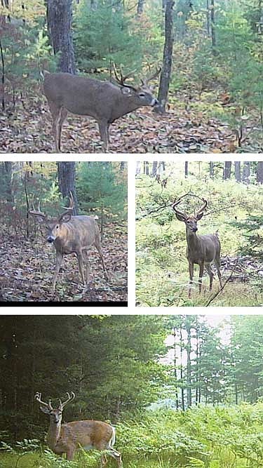 In these 2017 file photos, Mike MacKenzie goes over safety instructions with his own snowmobile outside while Renn Karl provides classroom instruction inside during a Wisconsin snowmobile safety course on Thursday, Jan. 12, 2017 at North Lakeland School in Manitowish Waters.
(Photo by Dean Hall/Lakeland Times)