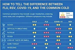 To help you tell the difference, the National Foundation for Infectious Diseases offers an easy-to-read chart comparing symptoms of these viruses. (Contributed image)