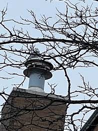 Photo detail