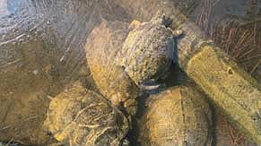 Photo detail