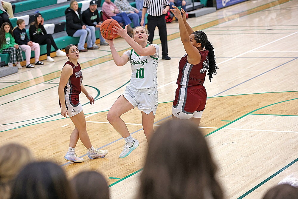 Rhinelander’s Lexi Beran puts up a shot against Antigo’s AirRihanna Williams during the first half of a GNC girls’ basketball game at the Jim Miazga Community Gymnasium Friday, Jan. 30. Beran finished with 12 points and 12 rebounds as the Hodags defeated the Red Robins, 74-18. (Bob Mainhardt for the River News)