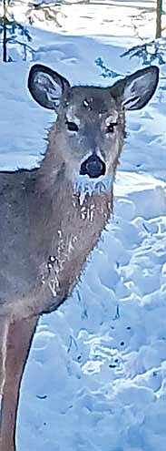 Photo detail