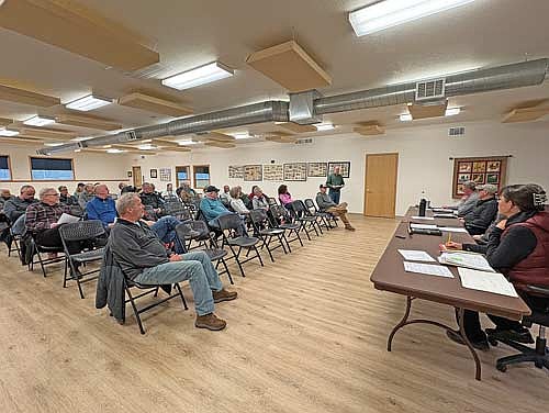 Paul Strong, president of the Lake Katherine Association, speaks to the town board during a public hearing on a proposed enhanced wake ordinance Tuesday, March 10, in Hazelhurst. (Photo by Trevor Greene/Lakeland Times)