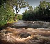 Water flows through a wooded area at the Brule River State Forest. (Contributed photograph)