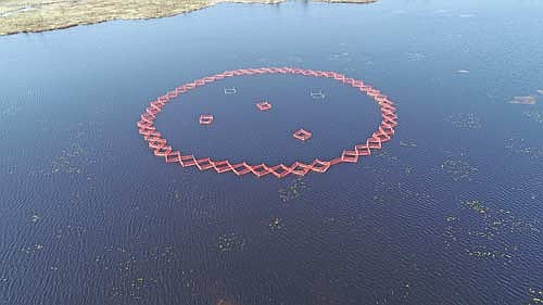 During the winter of 2024/25, volunteers and partners worked hand in hand to assemble a floating waterfowl exclosure, which was placed in one of the perennial vegetation removal plots. Nathan Podany photograph. (Contributed photograph)
