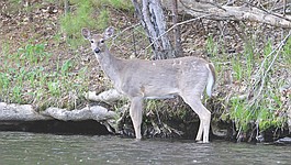 Lead photo
