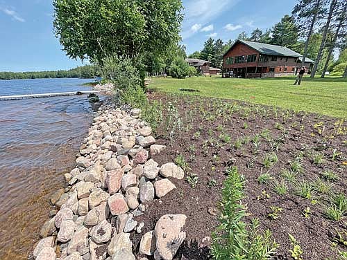 The Iron County Land and Water Conservation Department helps a variety of landowners with native plantings, like this one on the Turtle-Flambeau Flowage in 2023. (Photo by Blake Richard/River News)