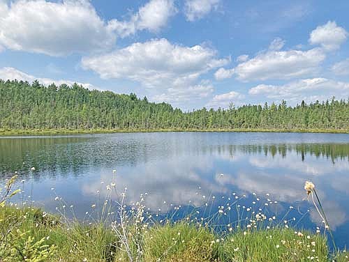 The scenic Tower Nibiiwan Conservation Area is seen in this Northwoods Land Trust photo. (Contributed photograph)
