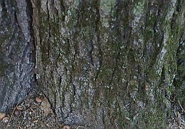Lead photo