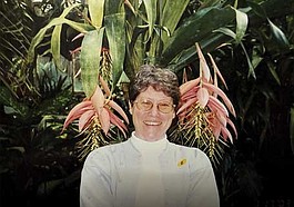Lead photo