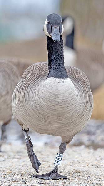Photo detail