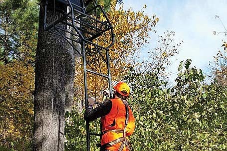 Hunters are reminded to avoid placing deer stands in or near ash trees, as trees infested with emerald ash borer may unexpectedly snap or drop large branches. (Contributed photograph)