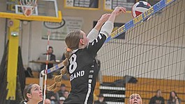 Lead photo