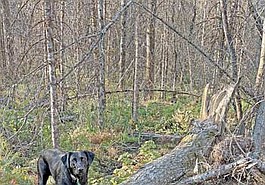 Lead photo