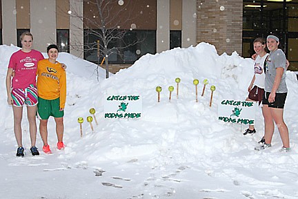 Photo: Softballs, signs spring up in new fundraiser