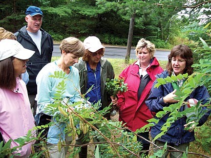 Nature education course for teachers offered at Trees for Tomorrow