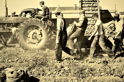 Rhinelander's potato roots go back more than 100 years
