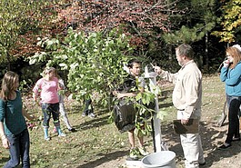 Lead photo