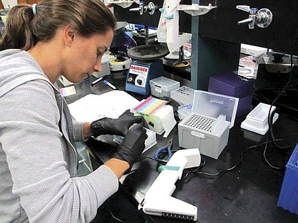 Rhinelander grad conducts research in Germany