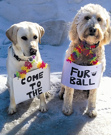 'Furball' to be held May 3