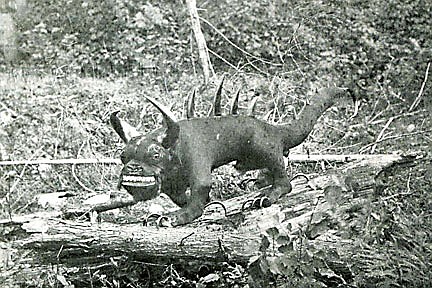 Postcard from the past