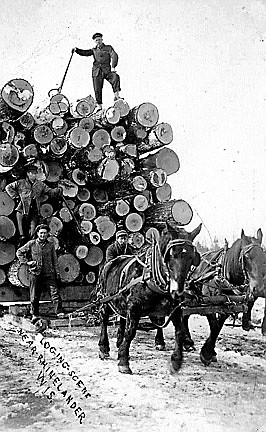 New logging-focused community event brings back memories of Rhinelander's origins