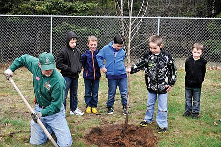 Pelican Elementary plants six trees as Rhinelander is named a Tree City