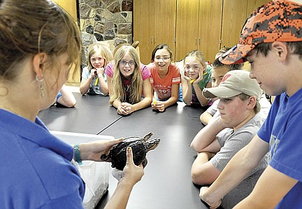 Nicolet's Summer Discovery series gives kids the chance to explore many different interests