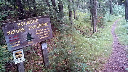 Renowned photographer helped preserve history, beauty of Holmboe Conifer Forest