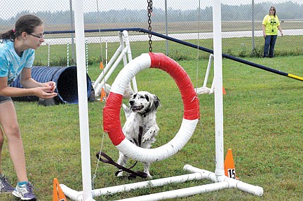 Dogs have their day at Pawzitive Outdoor Games