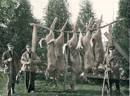 Postcard...from the past
