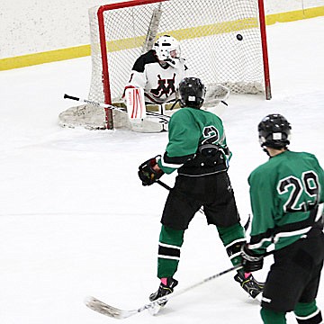 Youth Hockey roundup