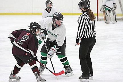 Youth Hockey Roundup
