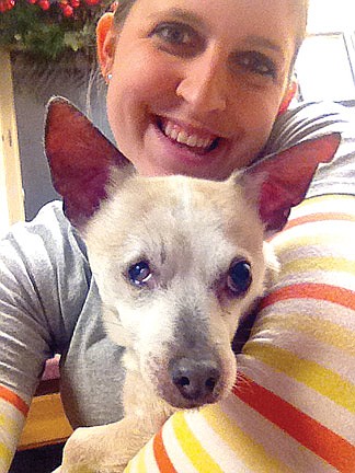 OCHS makes animal shelter more comfortable for pets