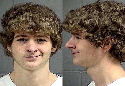 Minocqua man charged with giving puppy pot brownie misses court appearance