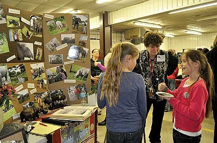 Youth, adults attend the Sustainability Fair